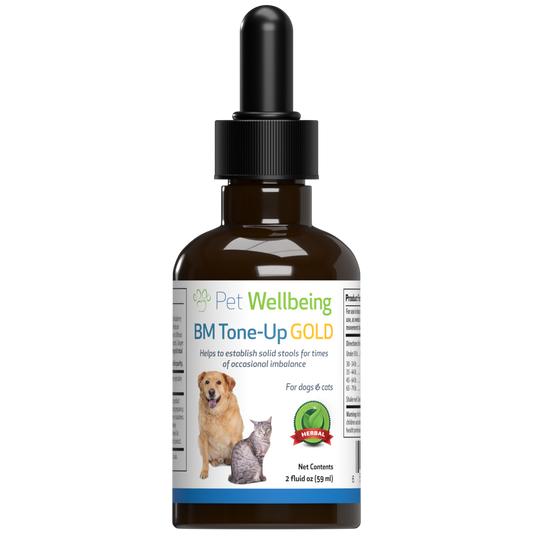 BM Tone-Up Gold - Supports Healthy Stools and Digestive Function in Cats