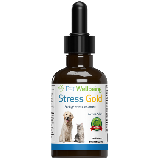 Stress Gold - for Occasional Moments of High Stress in Cats