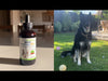 Pet Wellbeing Blood Sugar Gold product video that explains how this high-quality, holistic supplement supports your dog's blood sugar health and normal energy levels.