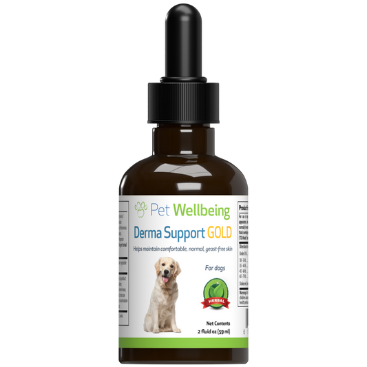 Derma Support Gold - for Dog Healthy Skin and Coat