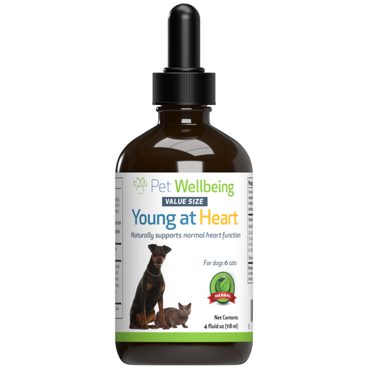 Young at Heart - Holistic Heart Health Care for Dogs