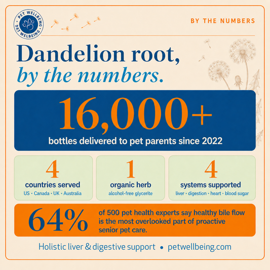 Title: Dandelion Root, By the Numbers: What 16,000+ Bottles (and 500 Pet Health Experts) Taught Us
