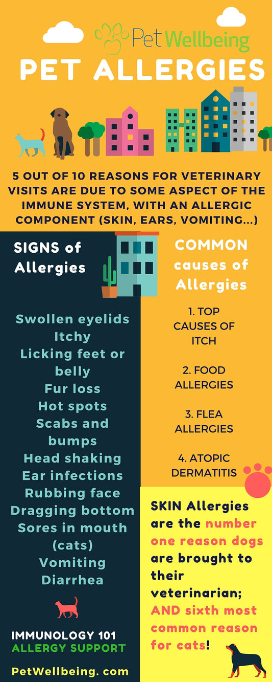 When your pet presents signs of allergies - get a free Pet Allergies eBook