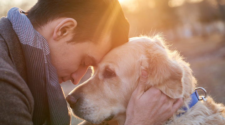3 News Year's Resolutions For Pet Parents