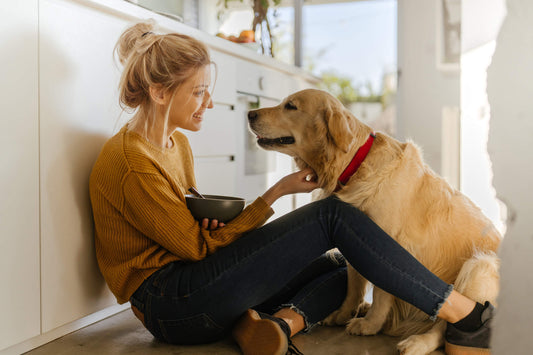 Can Dog Hypothyroidism be Managed Through Diet?