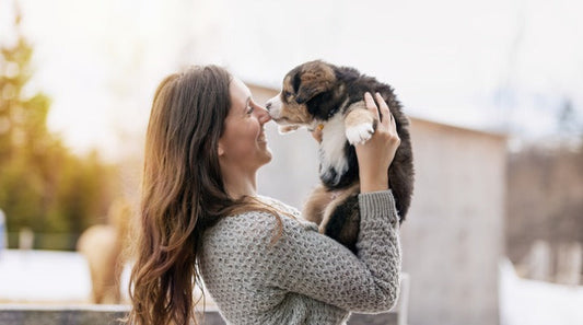 A Guide For First-Time Dog Owners