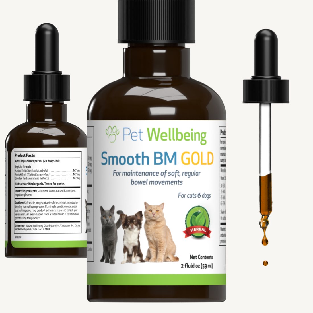 Puppy loose motion medicine best sale