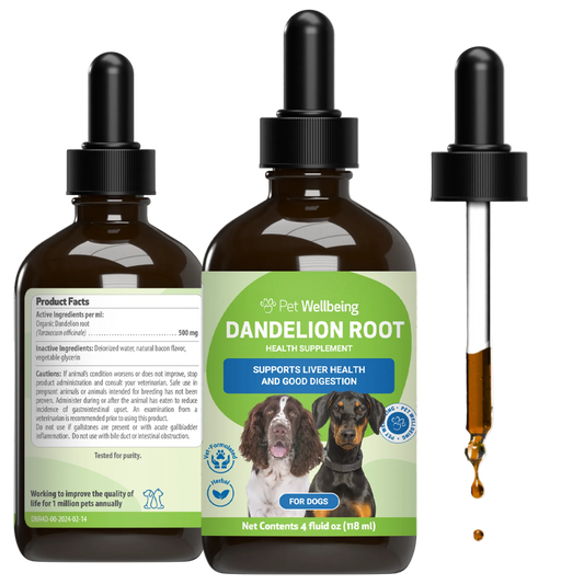 Dandelion Root - Holistic Digestive & Liver Support for Dogs