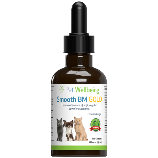Smooth BM Gold - Dog Constipation Support