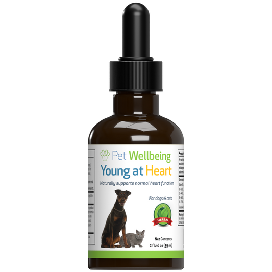 Young at Heart - for Healthy Heart Maintenance in Dogs